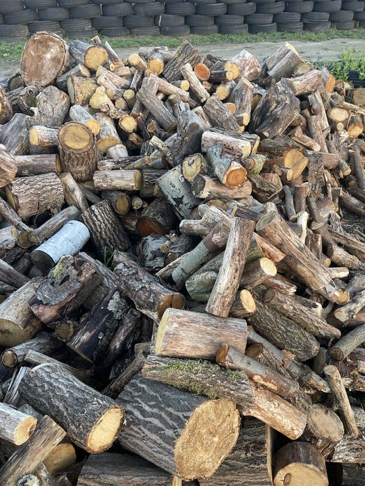 Drewno /Opał/ Dąb/Sosna/brzoza/Topola//mieszane/transport