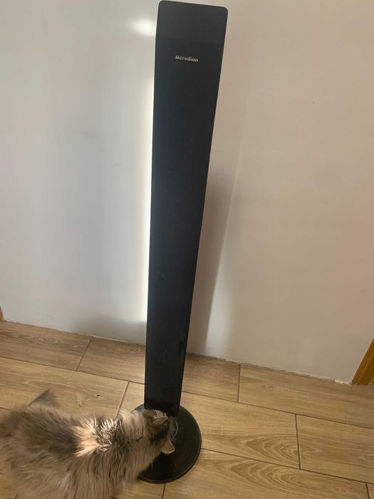 Колонка напольная MERIDIAN