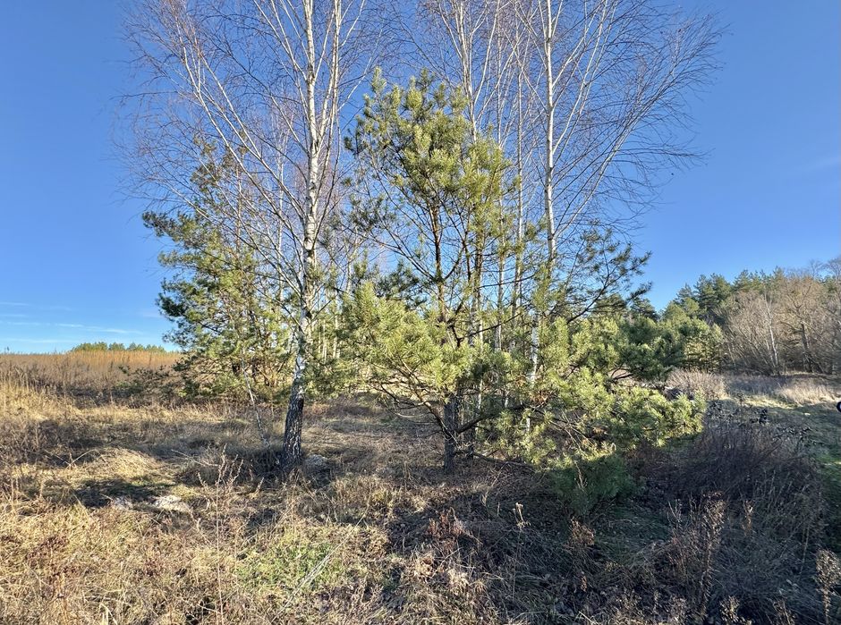 Земельна ділянка 8 Га! Ясногородка!