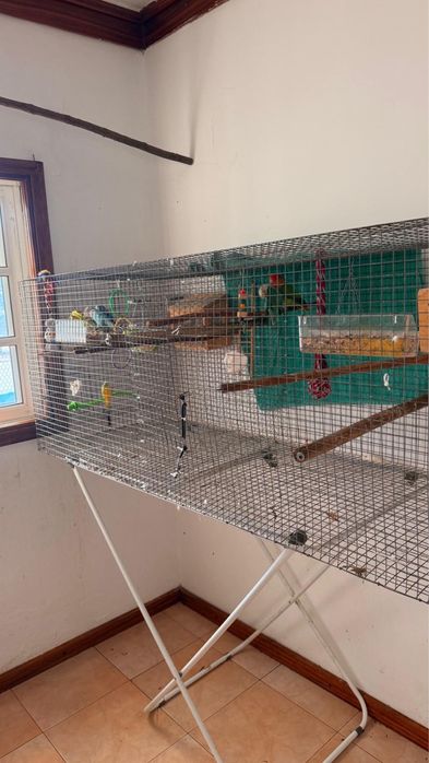 Grande Viveiro / Gaiola para Aves (1.60m) + Acessórios