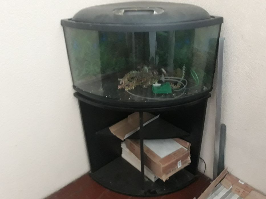 Sprzedam akwaria z szafkami i wyposazeniem