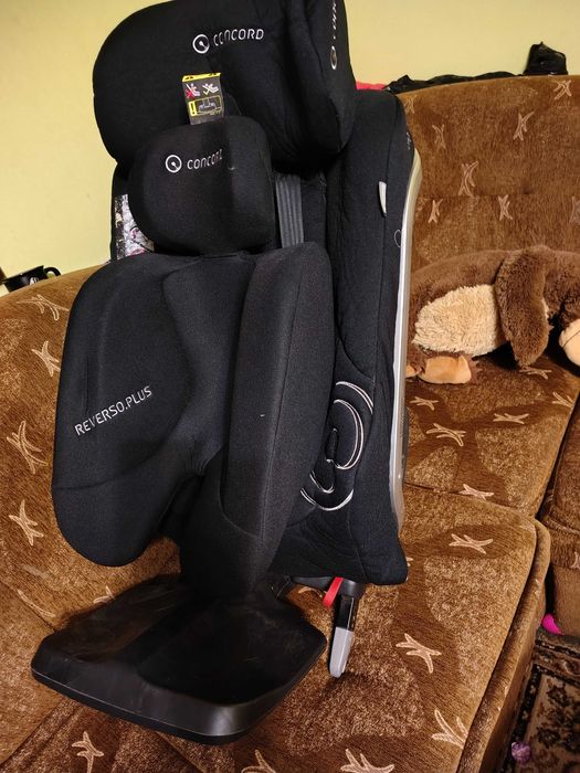 Concord reverso plus