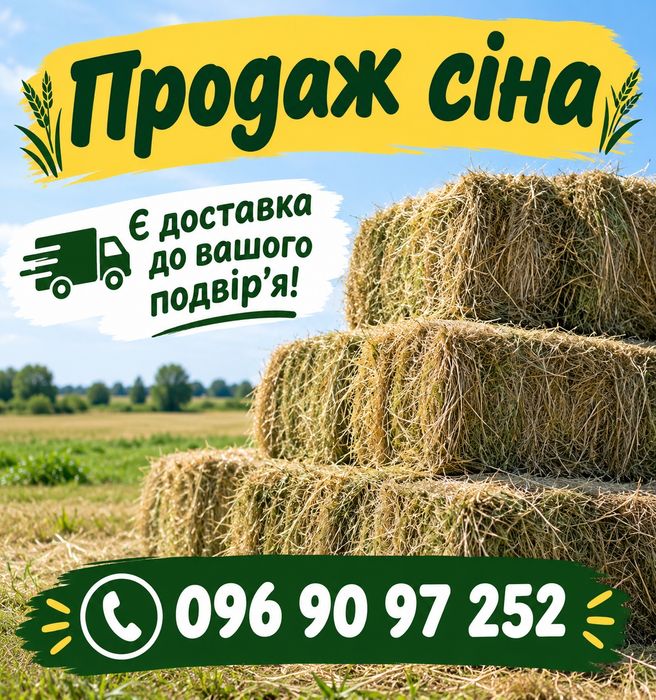 Сіно  в  тюках                                  .