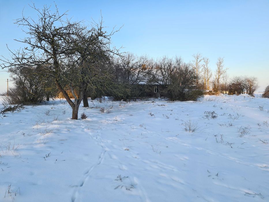 Sprzedam malowniczo położone siedlisko ze stawem