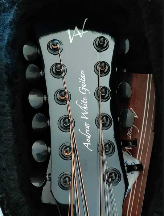 Guitarra semi acustica fender Andrew White 12 cordas