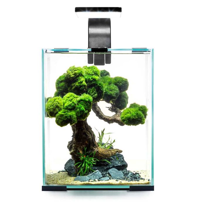 Aquael Shrimp SET SMART D&N 10 CZARNY