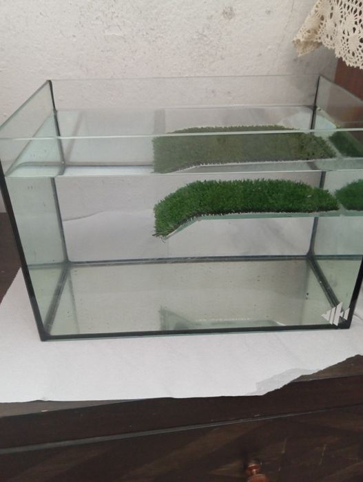 Aquário para tartarugas