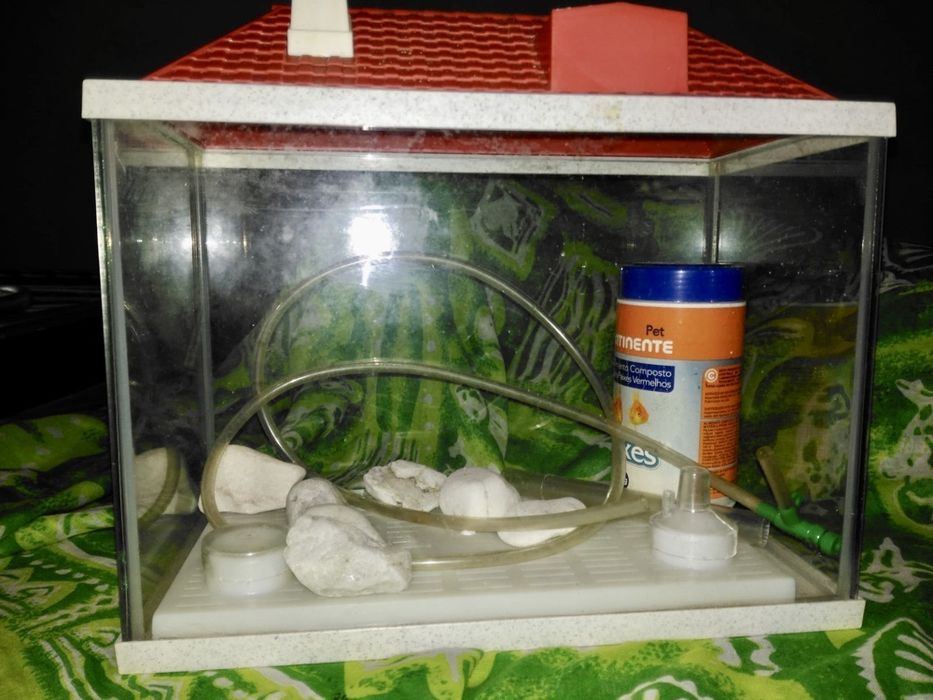 Aquário com tampa e apropriado para acessórios 27x14x20cm