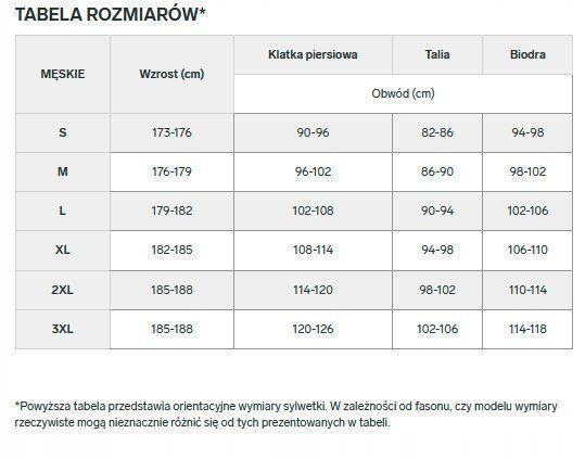 4F Męska Koszulka Termoaktywna Bielizna Termiczna Rozm L/Xl