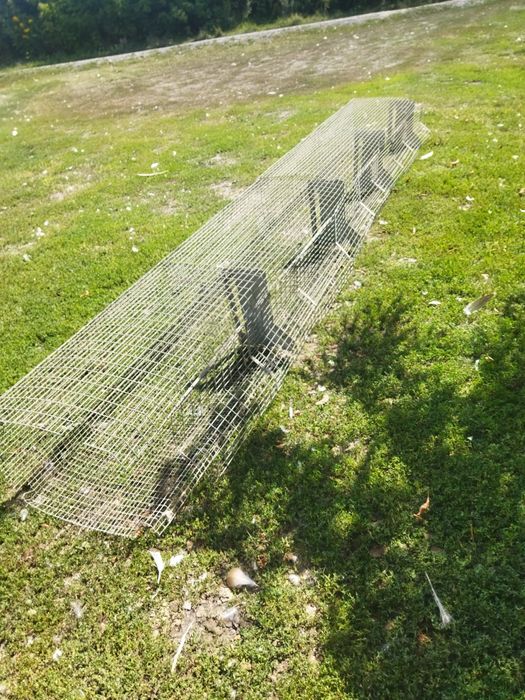 Клітки для кролів, перепелів, курчат, нутрій. 197-40-50 розмір її