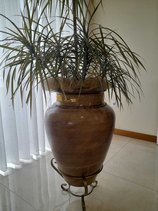 Vaso com suporte e planta natural