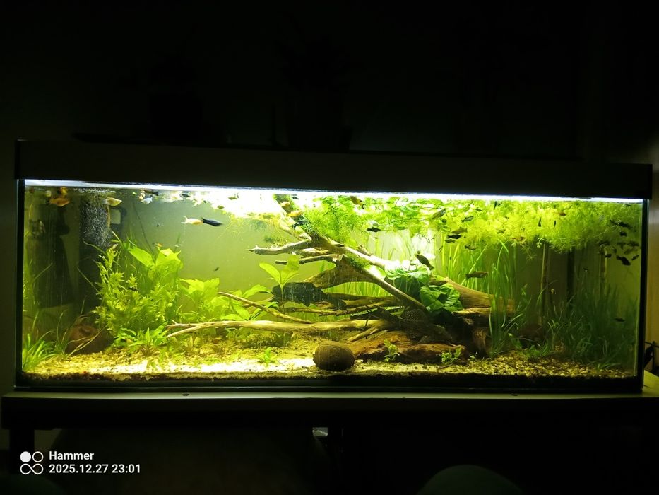 Akwarium 450l z osprzętem