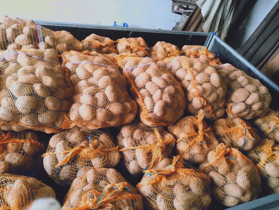 Ziemniaki jadalne hurt detal dowóz