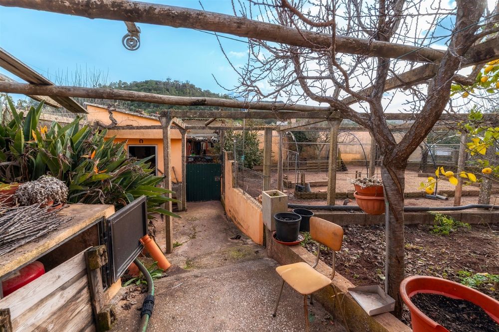 Moradia t3, Sarnadas