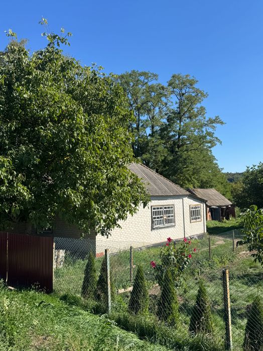 Продам будинок в селі Орловець