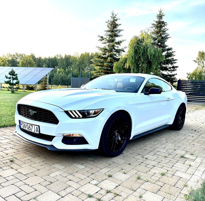 Mercedes A35 AMG cabrio Camaro Mustang wynajem wypożyczalnia BEZ KAUCJ