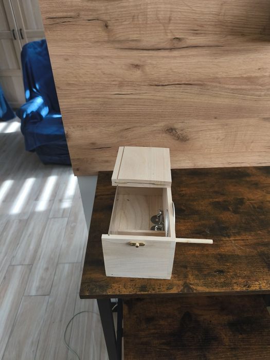 Kanarki zółte(samiec Francesco i samica Miriam)