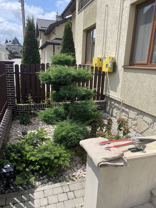 Автополив Газони Посадка рослин формування