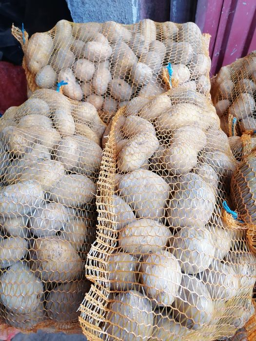 Ziemniaki worek 15 kilo wysyłka inpost prosto od rolnika