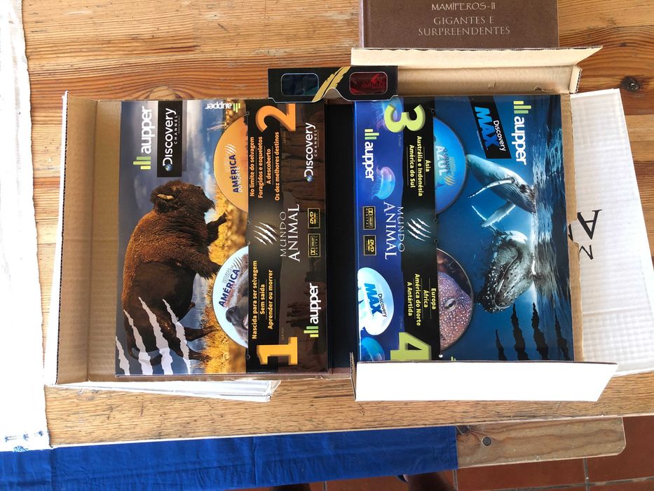 Coleção Livros Mundo Animal Novos