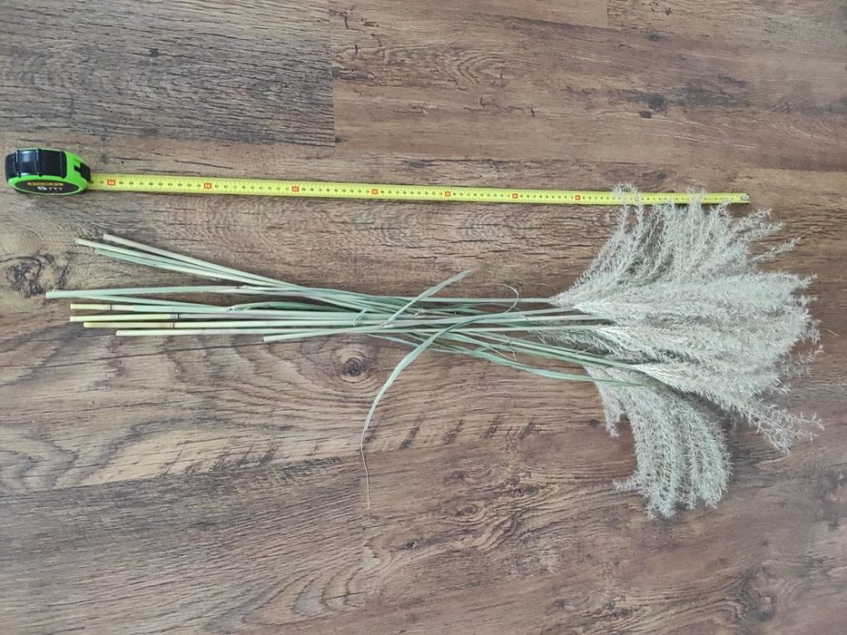 Trawy naturalne, ozdobne, styl boho 10 szt