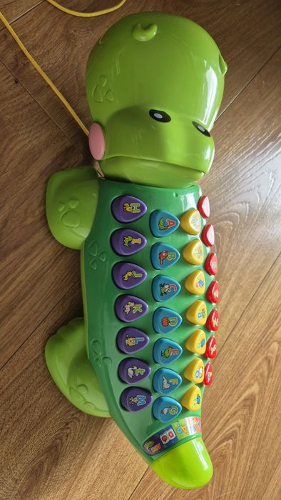 Edukacyjny aligator