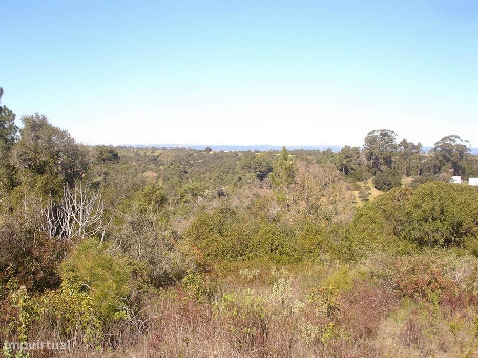 Terreno com 16.440m2 — Achete, Azoia De Baixo E Póvoa De Santarém, Santarém