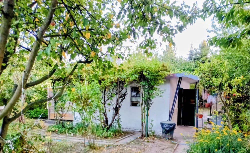 Wyjątkowa działka 635 m² – ROD „Nowy Start” | murowana altana, szklarnia, pergola, prąd, woda. - Widok 2