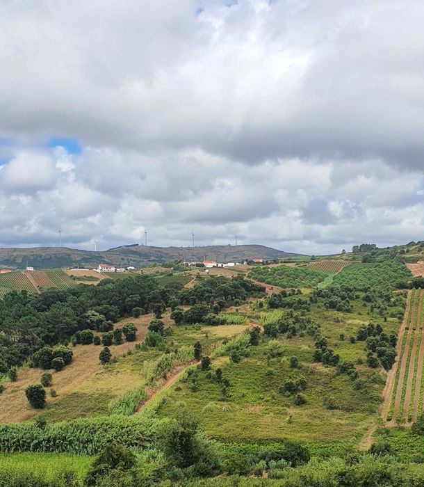 Terreno rústico 10.000m2