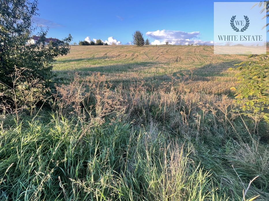 Продаж земельної ділянки Мишковичі.