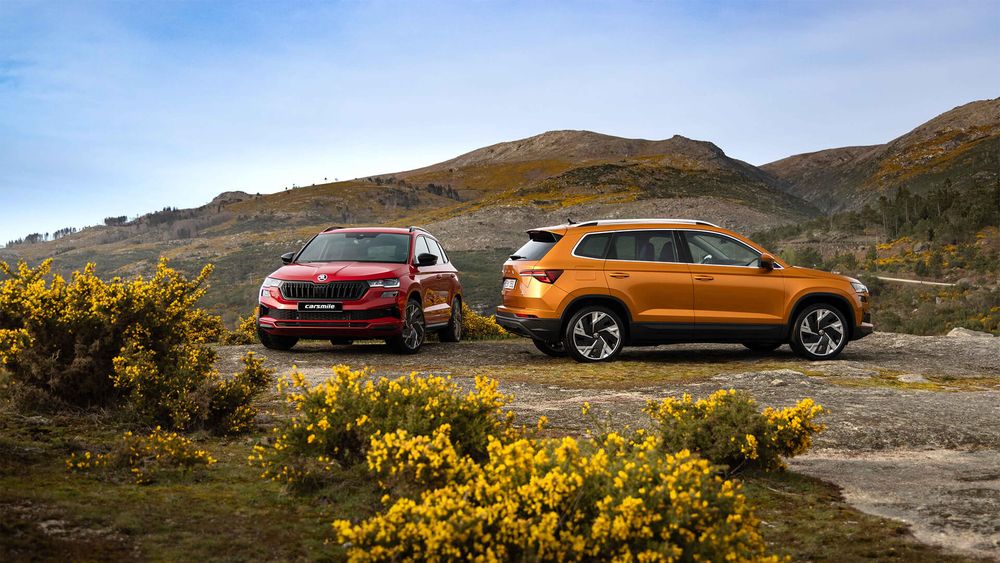 Zdjecie w galerii numer 3