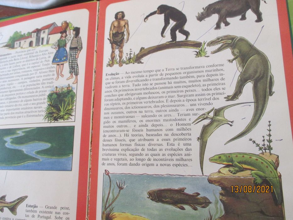 Enciclopédia infantil ilustrada - 6 volumes