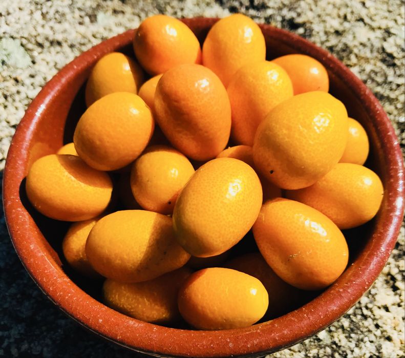 Kumquat Biológico