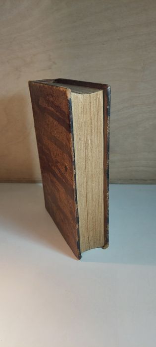 Immaculada, Poema Epico e Lyrico sob o Patrocinio de Jesus, Maria e José  (1922)