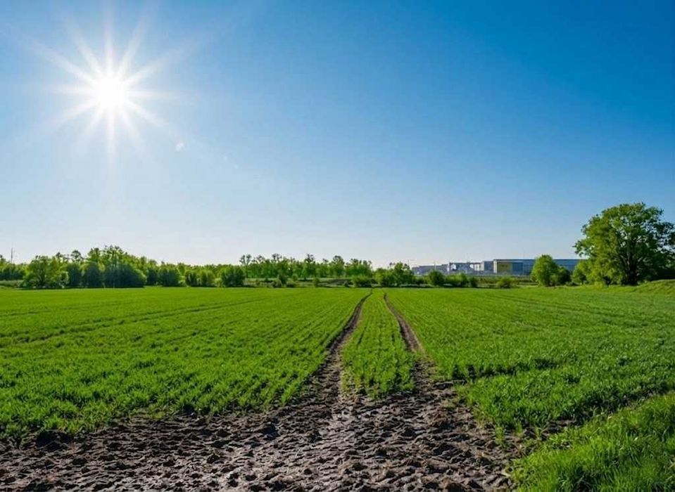 Продаж земельної ділянки 10 соток - ОСГ. Біля лісу. с.Оліївка. ID:747