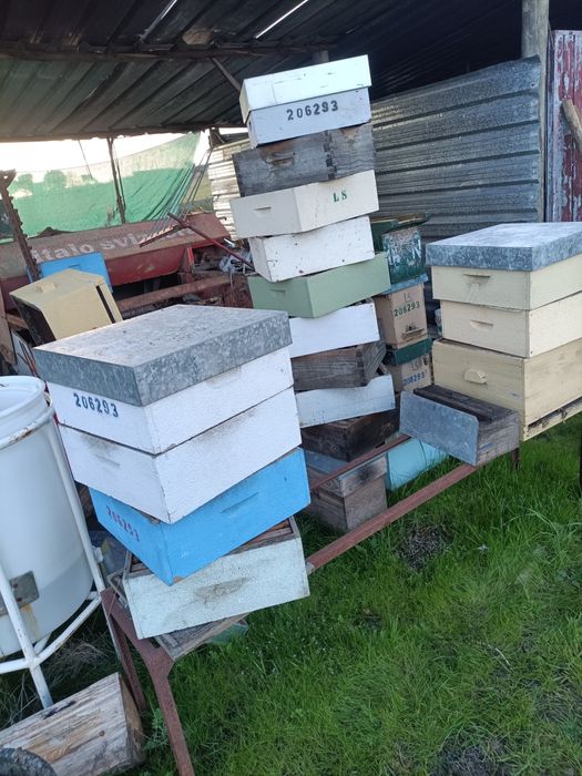 Material de apicultura