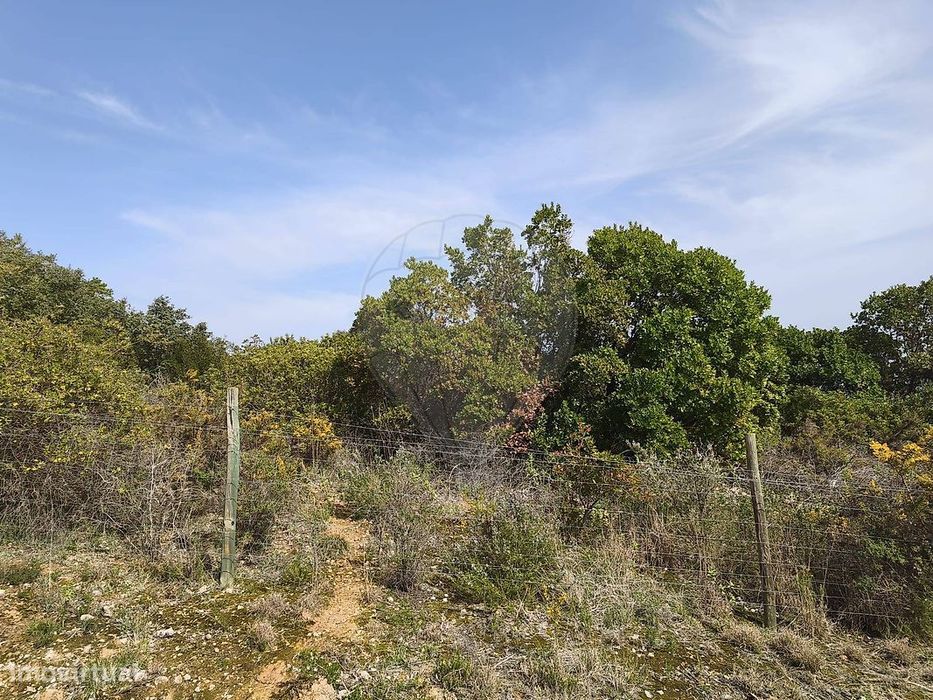 Terreno  para venda