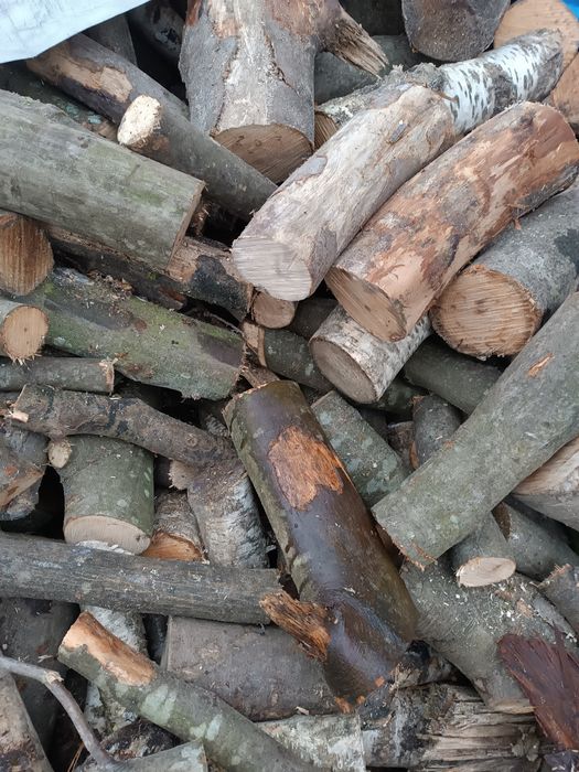 Drewno kominkowe