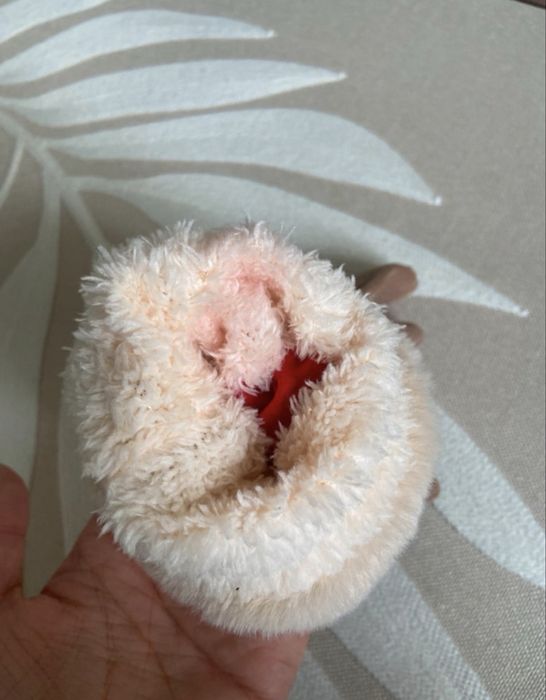 Luvas ugg nunca usadas