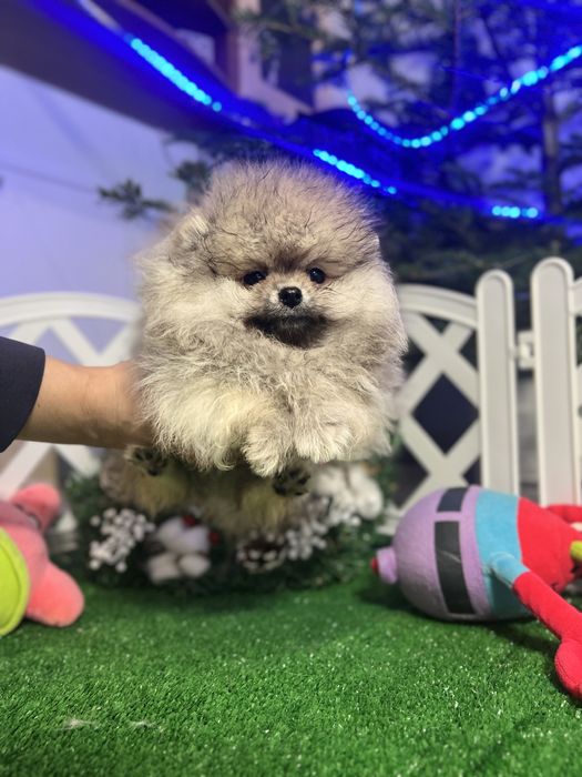 Мальчишка ждет маму