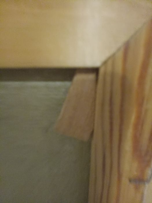 Obraz płótno kogut