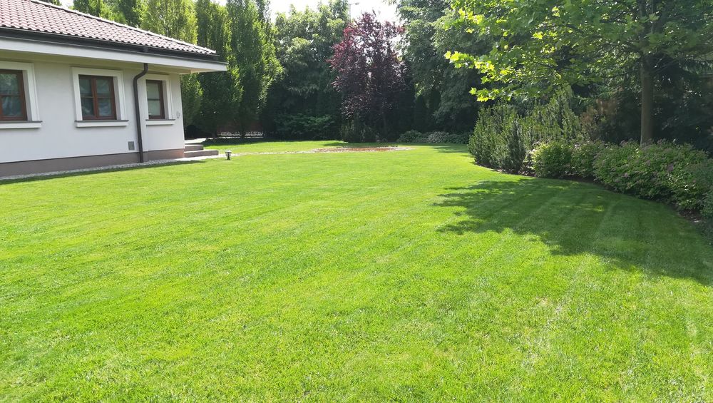 Usługi ogrodnicze Pielęgnacja ogrodu