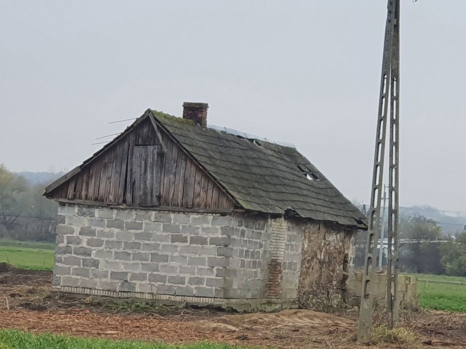 Urokliwe siedlisko z potencjałem – duża działka 2500 m² w Sielcu Biskupim - Widok 2