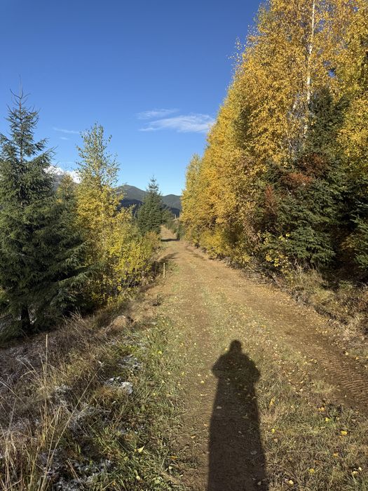 20 соток у Дземброні