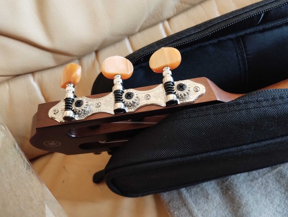 Yamaha Silent Guitar Slg-200 NT  Nowa Wyprzedaż Sylwestrowy