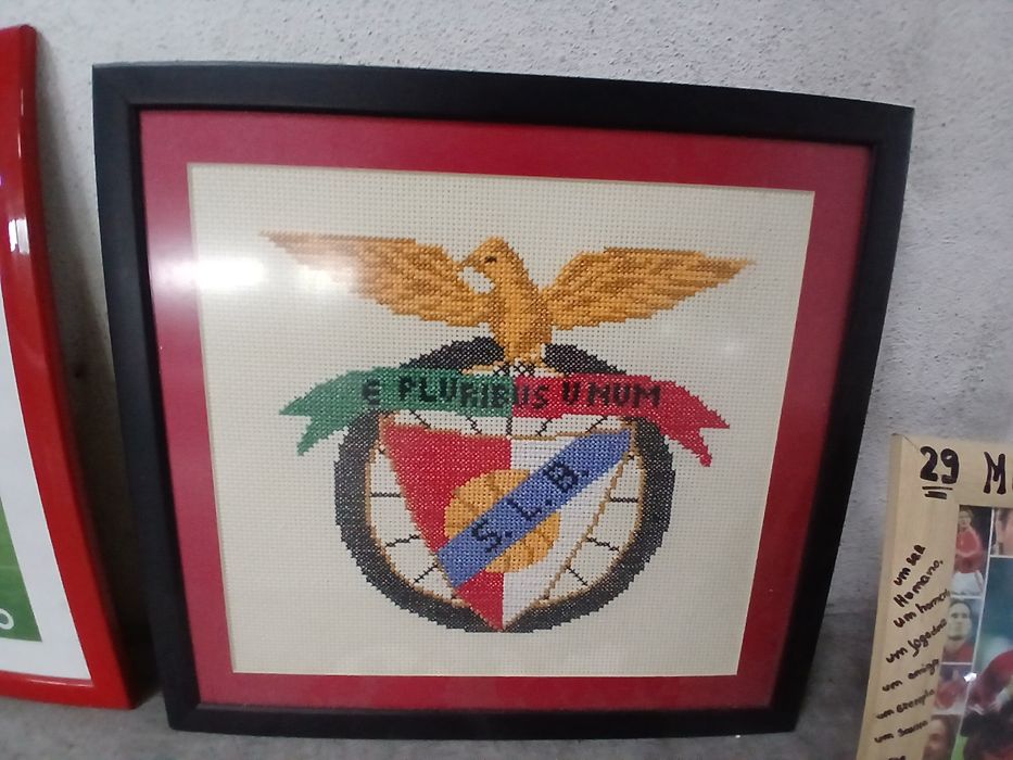 S.L Benfica 5 quadros 1 camisola 1 simbolo cravado com modeas antigas 8 livros 100 anos