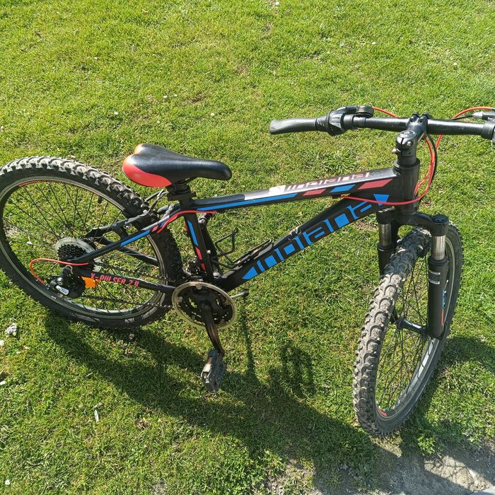 Rower indiana górski x-pulser Giant kellys