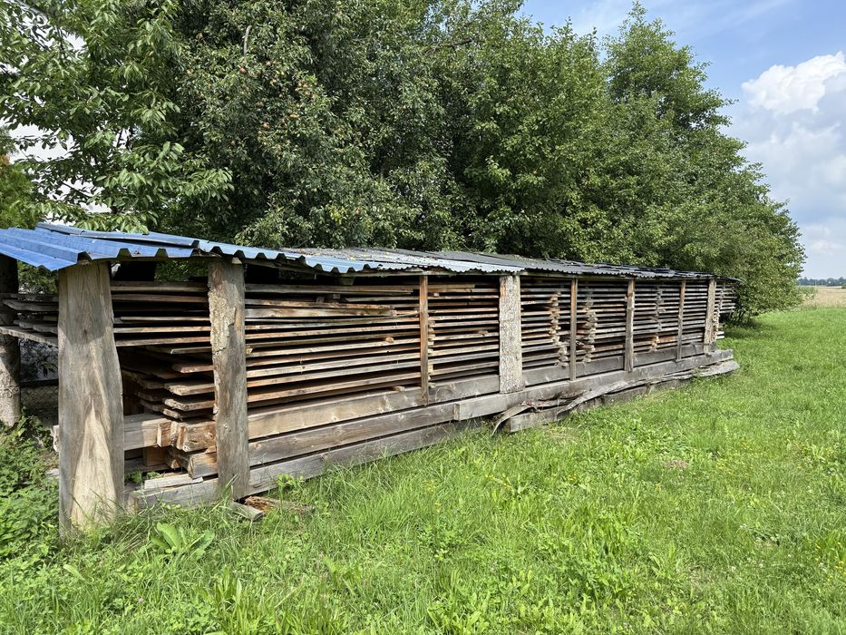 Drewno konstrukcyjne