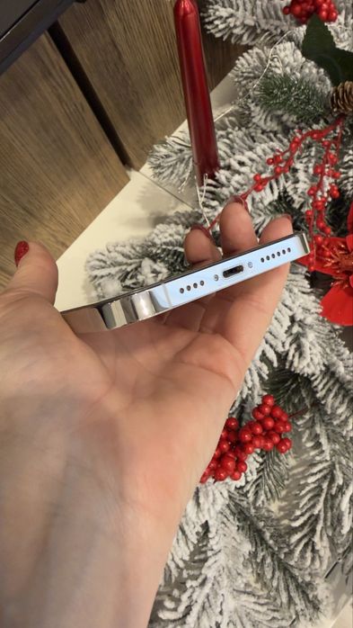 iPhone 12 Pro Max, Silver, 256 GB