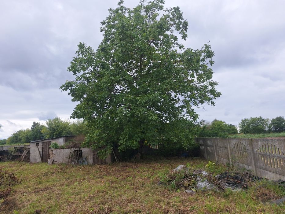 Dom – Walew, powiat łęczycki - Widok 3